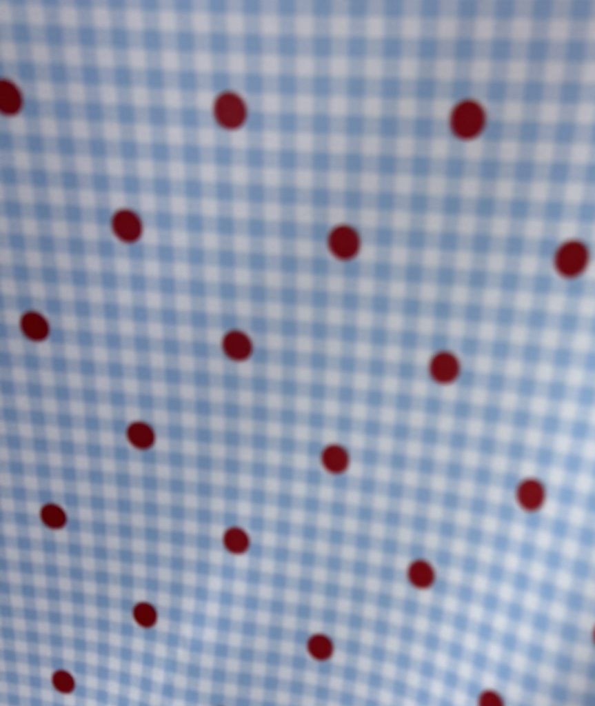 Tela de Flamenca Vichy Celeste con Lunar Rojo